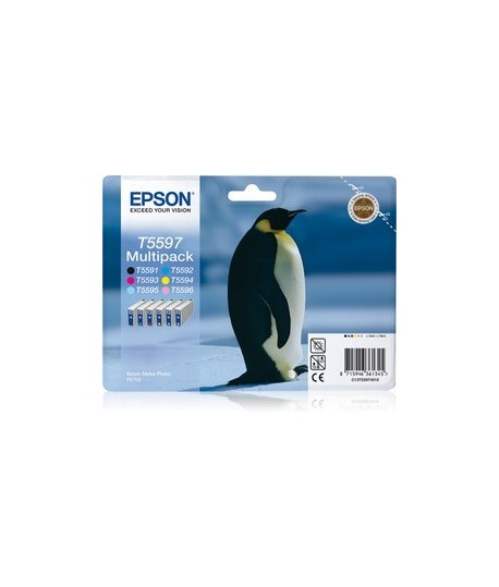 MULTIPACK EPSON RX700 T559