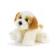 PLUSH 15943 CANE CAVACHON CM.30