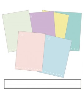 MAXI QUADERNO MONOCROMO PASTEL 21 FF 1R