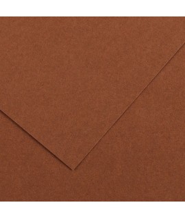 CART.COLORLINE 220G 70*100 NOCCIOLA 25FF