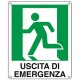 CARTELLO ALL. 25*31 USCITA EMERGENZA SX