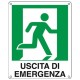 CARTELLO ALL. 25*31 USCITA EMERGENZA DX