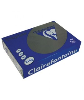 CARTA TROPHEE 210G A4 NERO 2227 250F