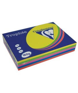 CARTA TROPH 1713 160G A4 MIX FORTI 250FF