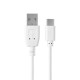 CAVO USB-TYPE-C 2 METRI