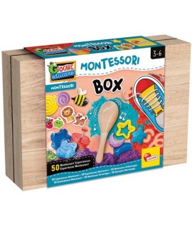 LISCIANI 102594 MONTESSORI WORK BOX