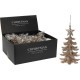 ALBERO APP GLIT CM13 CHAMPAGNE CAA753290