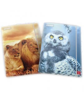 CARTELLA 3LEMBI ELAST.25X35 ANIMAL PIGNA
