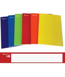 MAXI QUADERNO IN COLOR 100GR 19FF 1R
