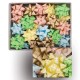 FIOCCO BR32342 20MM ASSORTITI 36PZ