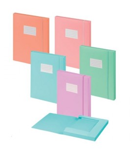 CARTELLA 3L PASTEL 24*33 D3 ITERNET 7135