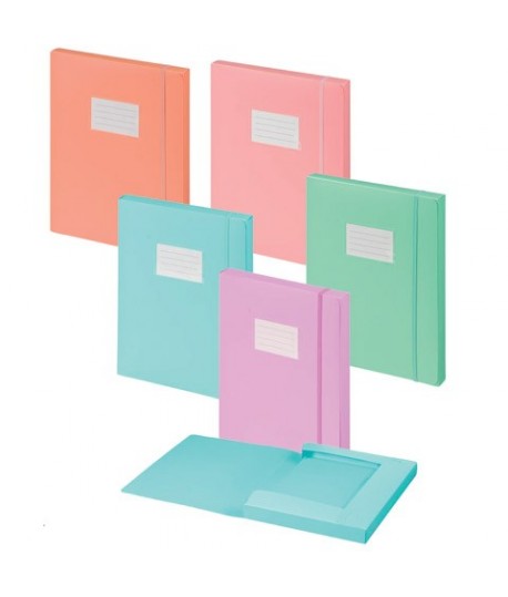 CARTELLA 3L PASTEL 24*33 D3 ITERNET 7135