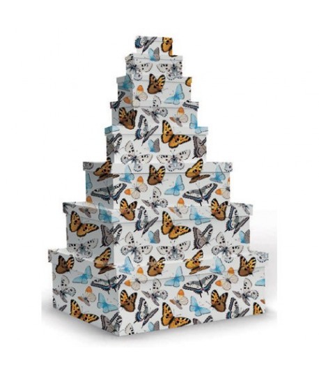 SET SCATOLE MARPIMAR FARFALLE2 8PZ