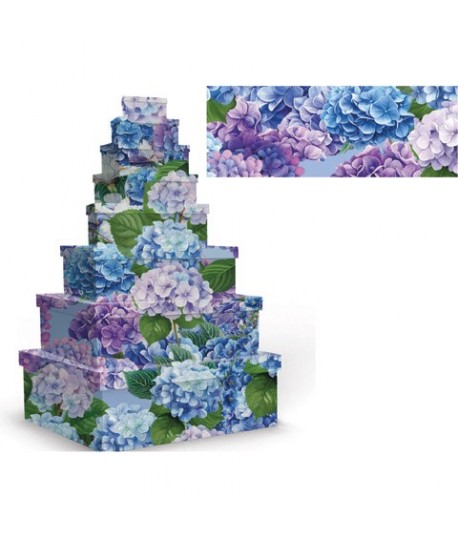 SET SCATOLE MARPIMAR ORTENSIE 8PZ