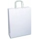BORSETTA CARTA C/MANICI CM24*27 BIANCA