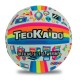 TEOKAIDO 52481 PALLONE VOLLEY DISEGNI