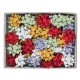 FIOCCO BR31348 15MM ASSORTITI 50PZ