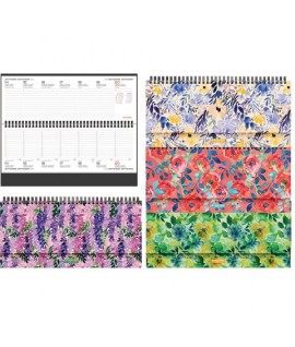 PLANNING SETTIM.CM29X11 PANORAMA I30XI