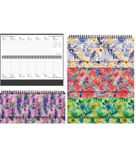 PLANNING SETTIM.CM29X11 PANORAMA I30XI