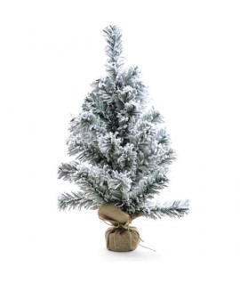 PINETTO INNEVATO BASE JUTA CM60 52643