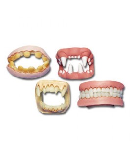 DENTIERA DOPPIA CT6252 (IN BUSTA)