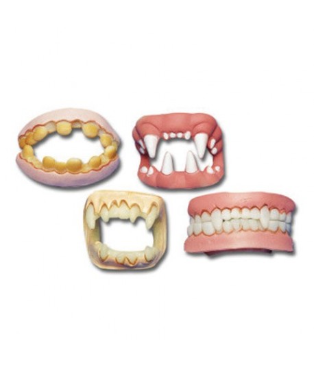 DENTIERA DOPPIA CT6252 (IN BUSTA)