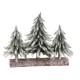 PINETTI INNEVATI 3PZ CM28X7X26 109097