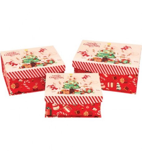 SET SCATOLE NAT 3PZ C/MAGNETE 117194