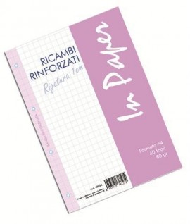 RICAMBIO RINFORZ.IN A4 80G 40FF 10MM