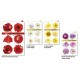 BIGLIETTO CROMO B.C.10228 12PZ.FIORI