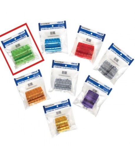 BL.20 PORTAMONETE PVC DA 50 CENT (VERDE)