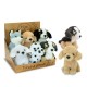 TEOREMA 39559 CAGNOLINO CM.18 NICE&GOOD