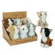 TEOREMA 39563 GATTINO CM.18 NICE&GOOD