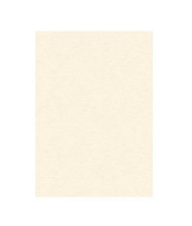 DIPLOMA PERGAM. KARTOS 6182 160G A3 50PZ