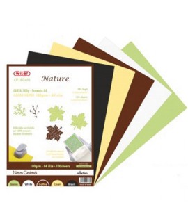 CARTA CARDSTOCK A4 180G NATURE 50FF