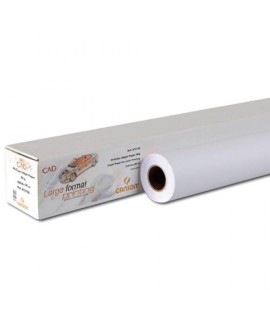 CARTA PLOT CANSON HI-COL. 90G H.61 50MT