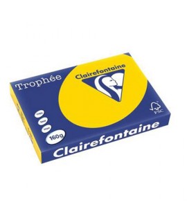 SET REGGILIBRI GATTO CARTOMANIA SEVEN