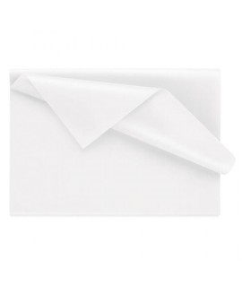 CARTA VELINA BIANCA 27GR 100*150 10KG