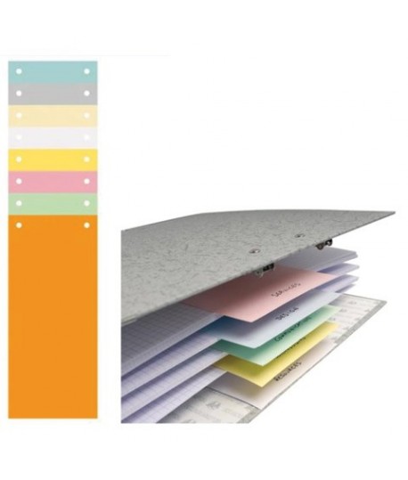 SEPARATORI ORIZZ. 2F CM10*24 100PZ