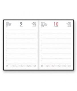 RICAMBIO AGENDA GIORNALIERO 15*21 7040XC