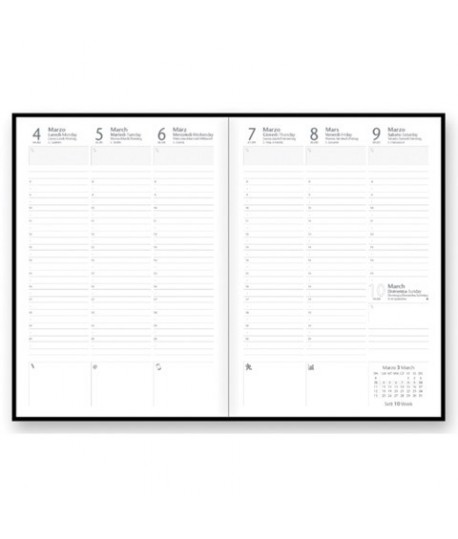 RICAMBIO AGENDA SETTIMANALE 17*24 7057XC