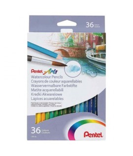 PASTELLI ACQUARELLABILI PENTEL 36PZ