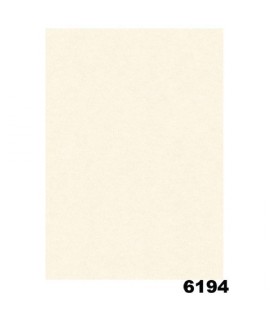 DIPLOMA PERGAM.NEUTRO 6194 160G A4 10PZ