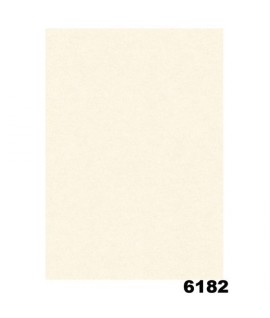DIPLOMA PERGAM.NEUTRO 6182 160G A3 10PZ