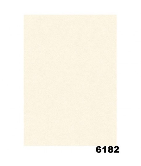 DIPLOMA PERGAM.NEUTRO 6182 160G A3 10PZ