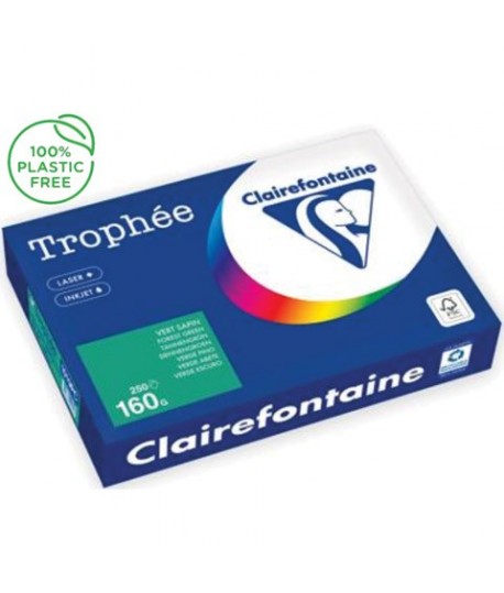 CARTA TROPHEE 160G A4 VERDONE 1019 250F
