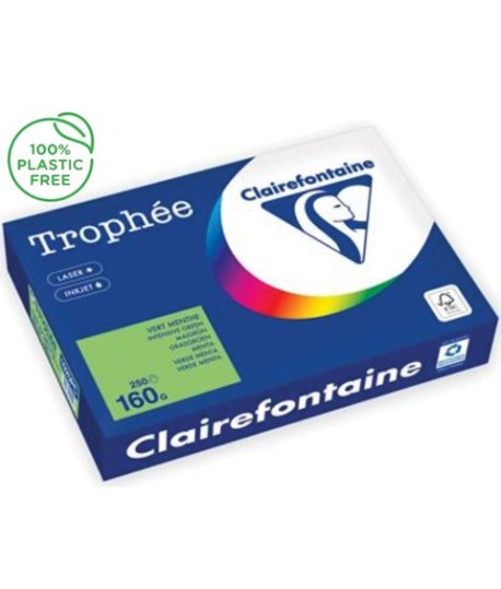 CARTA TROPHEE 160G A4 VERDE M.1025 250F