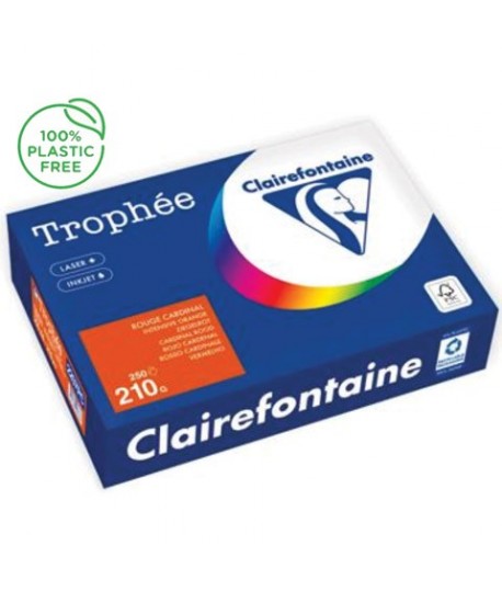 CARTA TROPHEE 210G A4 ARANCIO 2207 250F