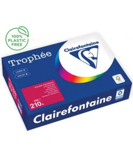 CARTA TROPHEE 210G A4 ROSSO 2211 250F