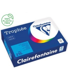 CARTA TROPHEE 210G A4 TURCHESE 2212 250F